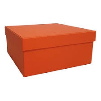 Caixa Rígida 30 x 30x 10 cm