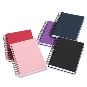 Agenda Diária 2027