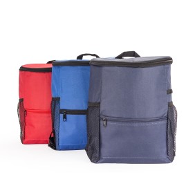 Bolsa TÃ©rmica Tipo Mochila Nylon 10 Litros